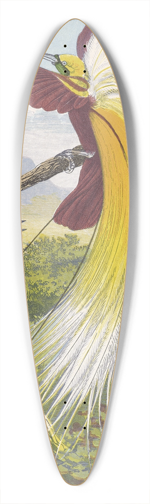 Thomas Waterman Wood - Paradisea Papuana 39.3 inch art pintail longboard deck