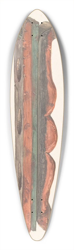 Vera Van Voris - Chinese Altar Tray 39.3 inch art pintail longboard deck