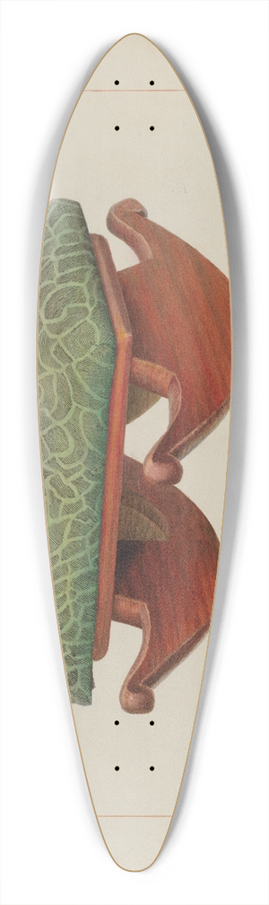 Vincent P. Rosel - Rocker Footstool 39.3 inch art pintail longboard deck