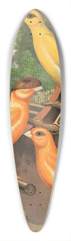 W. A . Blakston - Cinnamon Canaries 39.3 inch art pintail longboard deck