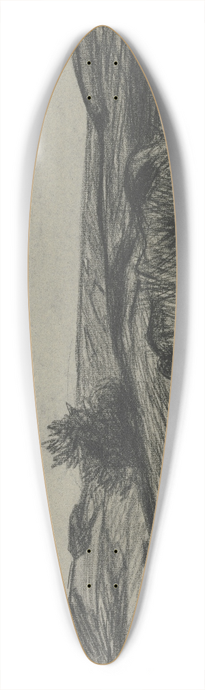 Wilhelm Kalb - Raised bog 39.3 inch art pintail longboard deck
