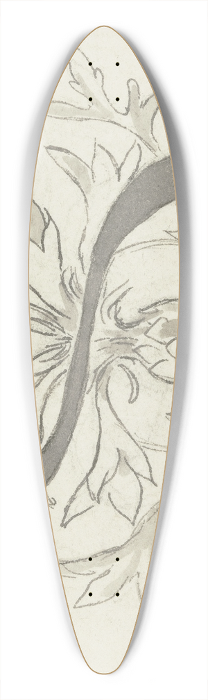 Wilhelm Steinhausen - Initial S 39.3 inch art pintail longboard deck
