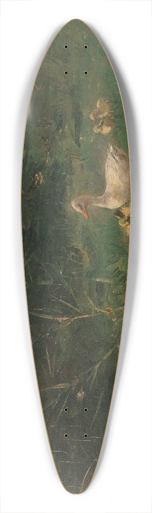Willem Maris - Eendjes 39.3 inch art pintail longboard deck