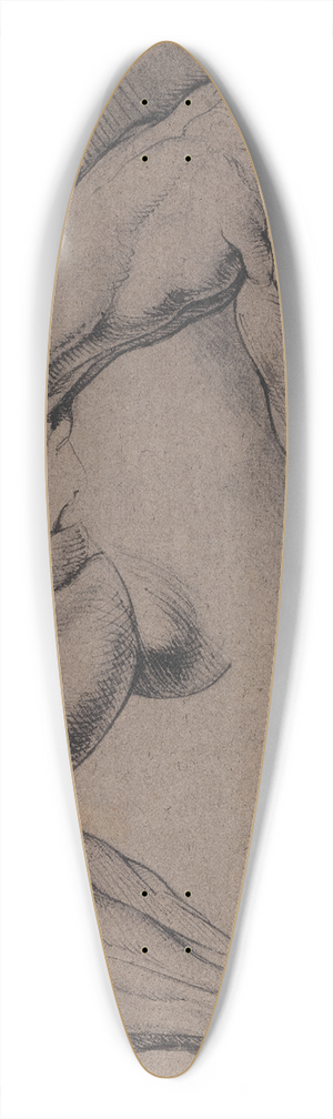 Willem Panneels - Anatomisk studie corch To studier af en mands flede, venstre arm 39.3 inch art pintail longboard deck