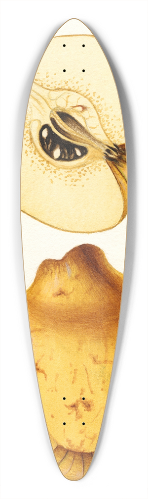 William Henry Prestele - Cydonia oblonga: Bourgeat 39.3 inch art pintail longboard deck