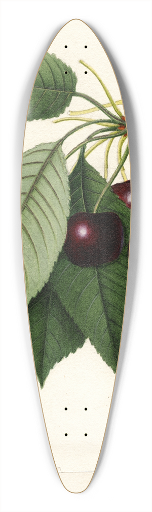 William Henry Prestele - Prunus avium: Hoke 39.3 inch art pintail longboard deck