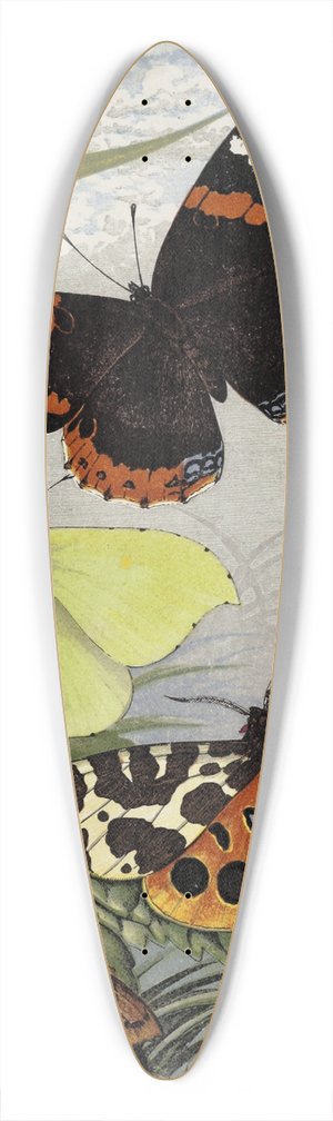 William Houghton - Lepidoptera 39.3 inch art pintail longboard deck
