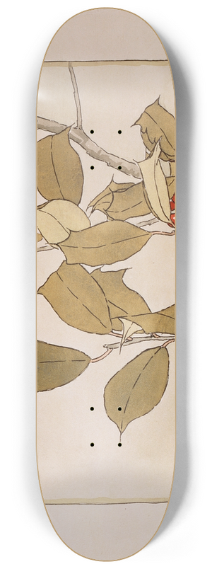 Hannah Borger Overbeck - Holly 8.25 inch art skate deck