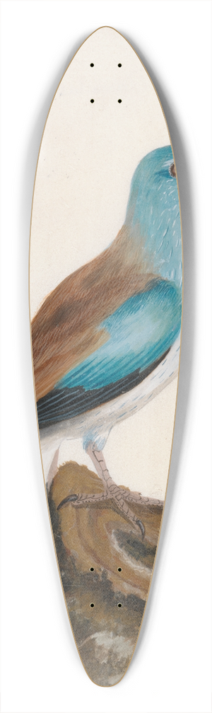 William Lewin - Garrulous Roller 39.3 inch art pintail longboard deck