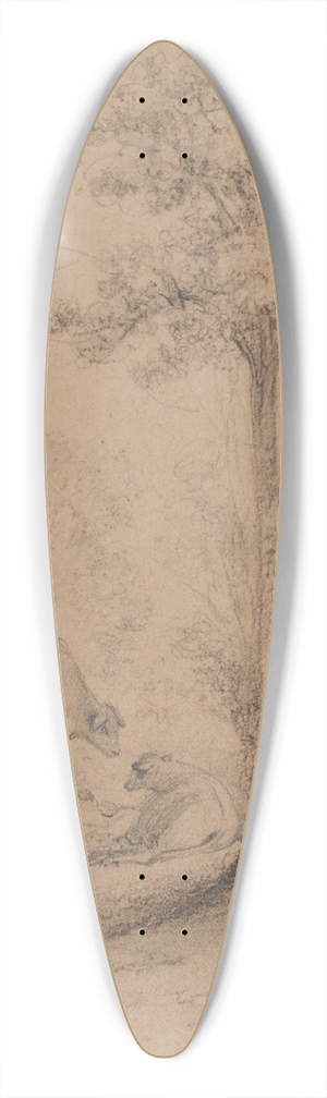 William Swainson - Lace bark trees, Hawkeshead,Hutt Valley 39.3 inch art pintail longboard deck