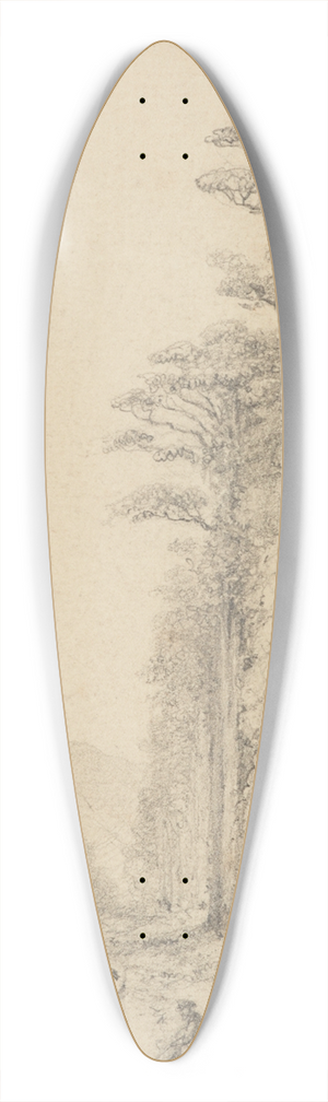 William Swainson - Totara Grove, Upper Hutt 39.3 inch art pintail longboard deck
