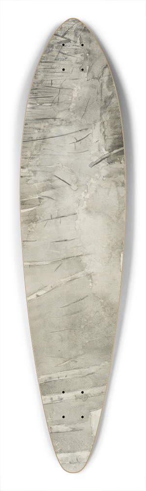Winslow Homer - Camp in Canada 39.3 inch art pintail longboard deck