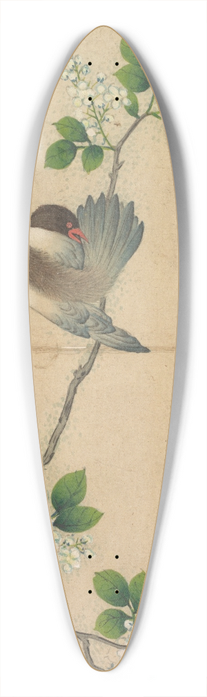 Zhang Ruoai - Preening Bird 39.3 inch art pintail longboard deck