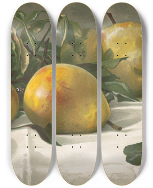 Triptych art skateboard deck of J E Barclay Study Of Pears by J E Barclay