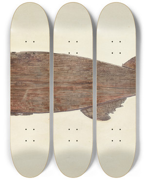Triptych art skateboard deck of Frank Budash Weather Vane_1 by Frank Budash