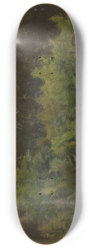 Hans Gude - Study of Ferns 8.25 inch art skate deck