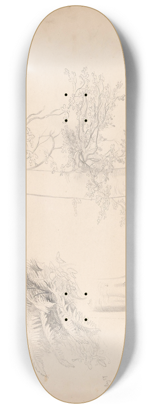 Hans Gude - Tre- og plantestudier ved Laacher See 8.25 inch art skate deck