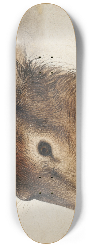 Hans Hug Kluber - Hirschkopf 8.25 inch art skate deck Hans Hug Kluber - Hirschkopf 8.25 inch art skate deck