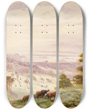 Triptych art skateboard deck of John Gully Landscape Waimea Plains Nelson by John Gully (1819-1888)