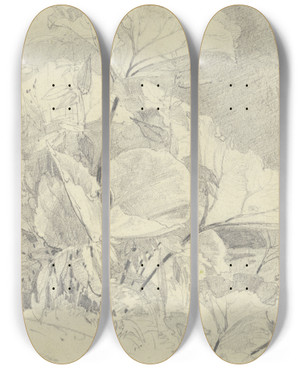 Triptych art skateboard deck of Fritz Bamberger Coltsfoot by Fritz Bamberger (1814-1873)