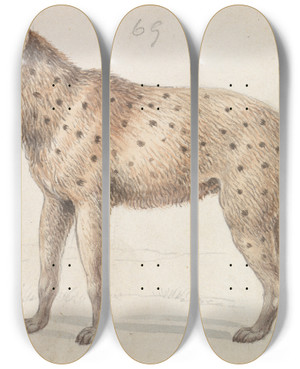 Triptych art skateboard deck of Charles Hamilton Smith Spotted Hyena by Charles Hamilton Smith (1776-1859)