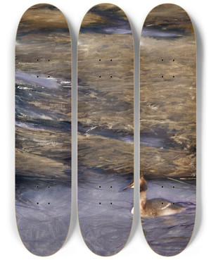 Triptych art skateboard deck of Bruno Liljefors Grebe by Bruno Liljefors (1860-1939)