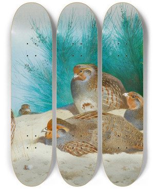 Triptych art skateboard deck of Archibald Thorburn English Partridge With Gorse And Thistles by Archibald Thorburn (1860-1935)