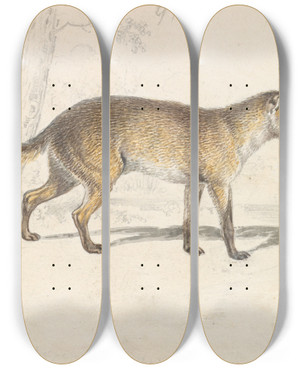 Triptych art skateboard deck of Charles Hamilton Smith Crabodago Aguara Fox by Charles Hamilton Smith (1776-1859)