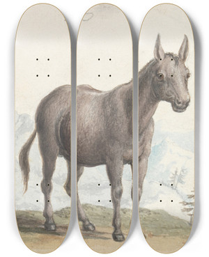 Triptych art skateboard deck of Charles Hamilton Smith The Hinny by Charles Hamilton Smith (1776-1859)