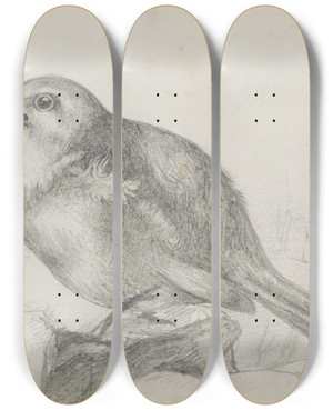 Triptych art skateboard deck of Marius Bauer Jonge Vogel Op Een Steen by Marius Bauer (1867-1932)