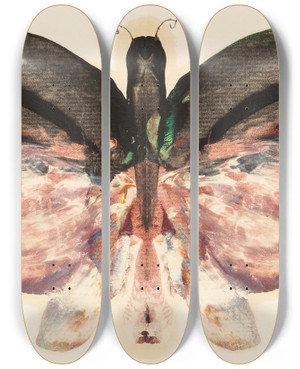 Triptych art skateboard deck of Albert Bierstadt Pink Butterfly by Albert Bierstadt (1830-1902)