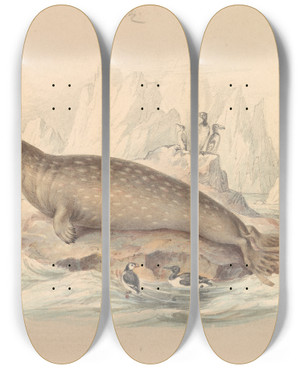 Triptych art skateboard deck of James Stewart The Leopard Seal by James Stewart