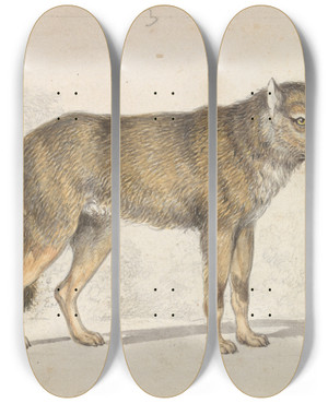 Triptych art skateboard deck of Charles Hamilton Smith The Gray Wolf by Charles Hamilton Smith (1776-1859)