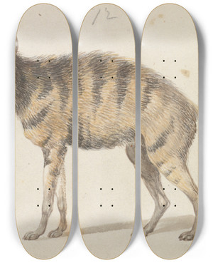 Triptych art skateboard deck of Charles Hamilton Smith Aardwolf by Charles Hamilton Smith (1776-1859)