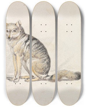 Triptych art skateboard deck of Charles Hamilton Smith Whitebarred Aguara Fox by Charles Hamilton Smith (1776-1859)