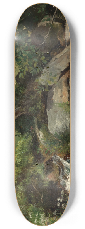Hans Thoma - Wiesenbach mit Gebsch und Grsern 8.25 inch art skate deck