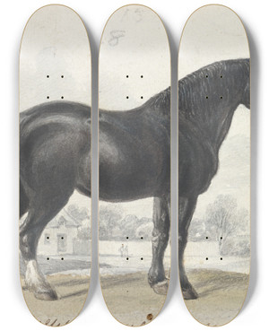Triptych art skateboard deck of Charles Hamilton Smith English Draught Horse by Charles Hamilton Smith (1776-1859)