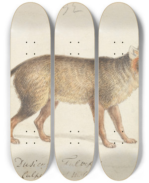 Triptych art skateboard deck of Charles Hamilton Smith Dunfooted Aguaradog by Charles Hamilton Smith (1776-1859)