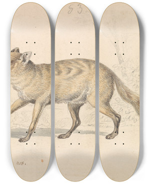 Triptych art skateboard deck of Charles Hamilton Smith Guaraxa Aguarafox by Charles Hamilton Smith (1776-1859)