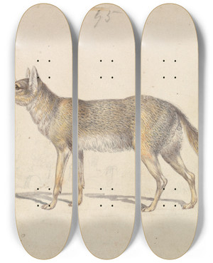 Triptych art skateboard deck of Charles Hamilton Smith The Common Jackal by Charles Hamilton Smith (1776-1859)
