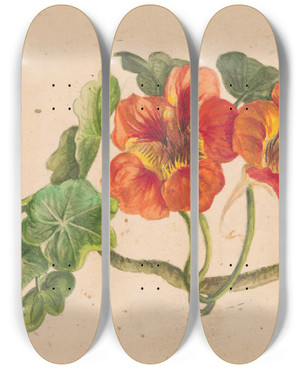 Triptych art skateboard deck of Henryka Beyer Nasturtium Twig by Henryka Beyer (1782-1855)