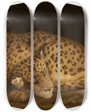 Triptych art skateboard deck of George Stubbs Sleeping Leopard by George Stubbs (1724-1806)