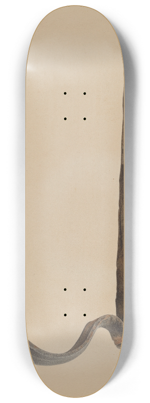 Harold Ballerd - Rain Gutter Stirrup 8.25 inch art skate deck