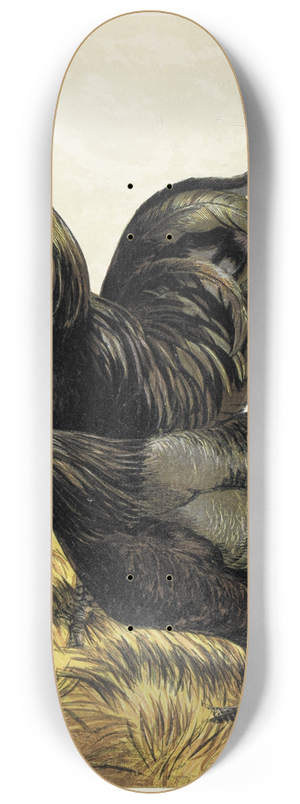 Harrison Weir - La Fleche 8.25 inch art skate deck