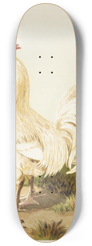 Harrison Weir - White Dorking 8.25 inch art skate deck