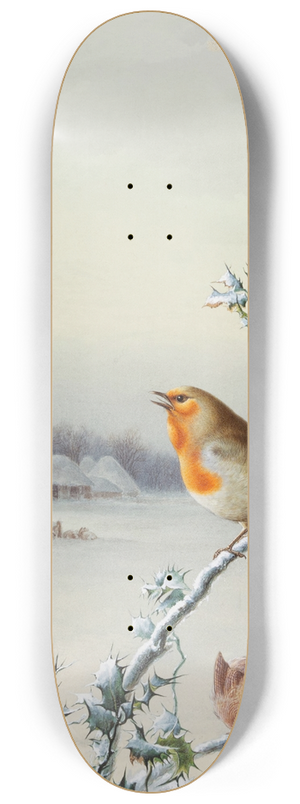 Harry Bright - Winter  A Robin and Wren 8.25 inch art skate deck