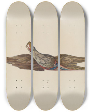 Triptych art skateboard deck of Helen E Gilman Eagle by Helen E Gilman