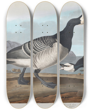 Triptych art skateboard deck of John James Audubon Barnacle Goose by John James Audubon (1785-1851)