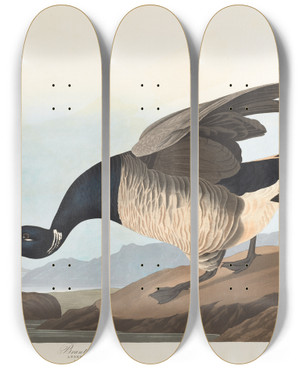 Triptych art skateboard deck of John James Audubon Brant Goose by John James Audubon (1785-1851)