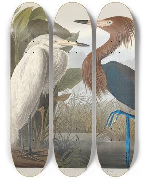 Triptych art skateboard deck of John James Audubon Purple Heron by John James Audubon (1785-1851)